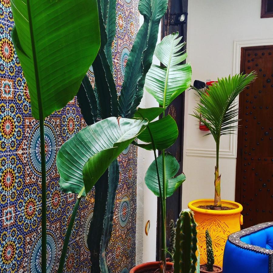 Riad Heklek Marrakesz Zewnętrze zdjęcie